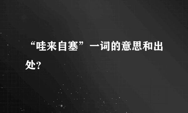 “哇来自塞”一词的意思和出处？