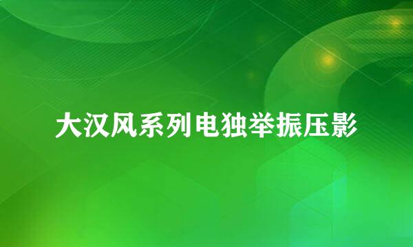 大汉风系列电独举振压影