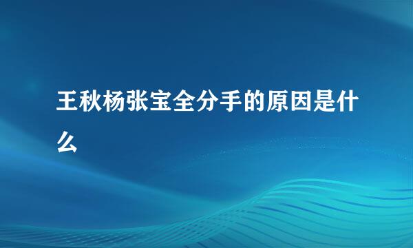 王秋杨张宝全分手的原因是什么