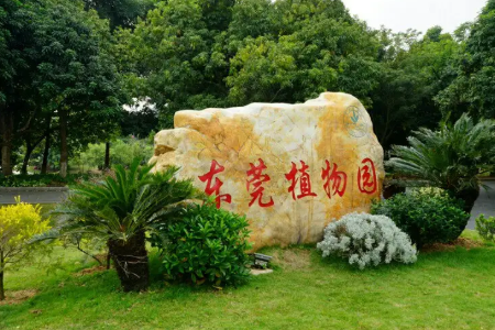 东莞旅游必去十大景点