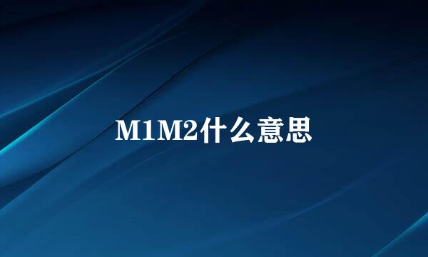 M1M2什么意思