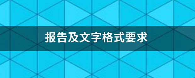 报告及文字格式要求