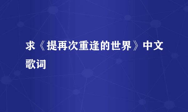 求《提再次重逢的世界》中文歌词