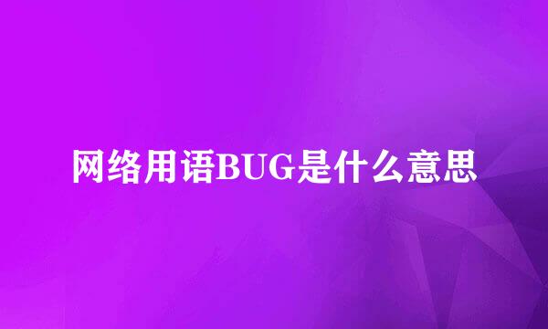 网络用语BUG是什么意思