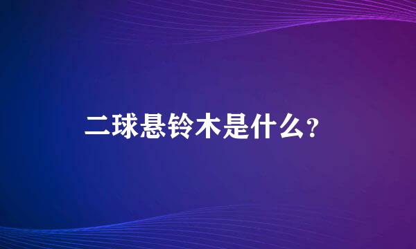 二球悬铃木是什么？