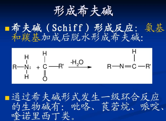 席夫碱反应是什么？