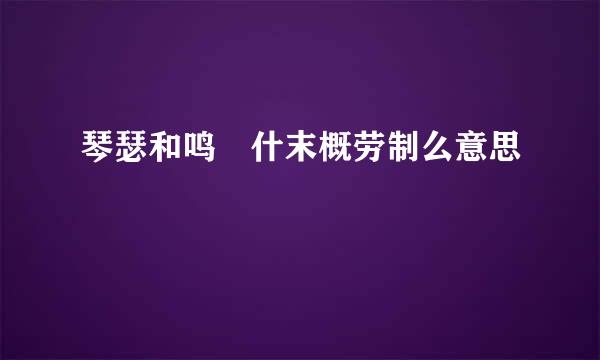 琴瑟和鸣 什末概劳制么意思