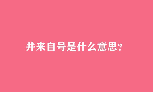 井来自号是什么意思？