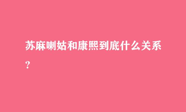 苏麻喇姑和康熙到底什么关系？