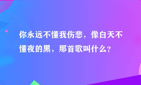 你永远不懂我伤悲，像白天不懂夜的黑，那首歌叫什么？