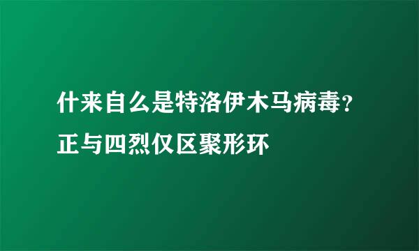 什来自么是特洛伊木马病毒？正与四烈仅区聚形环