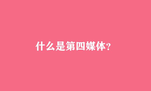 什么是第四媒体？