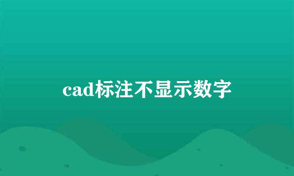 cad标注不显示数字