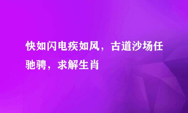 快如闪电疾如风，古道沙场任驰骋，求解生肖