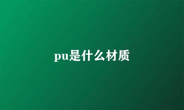 pu是什么材质