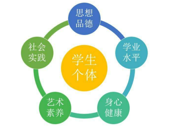 综合素质评价学业水平内容怎么写?