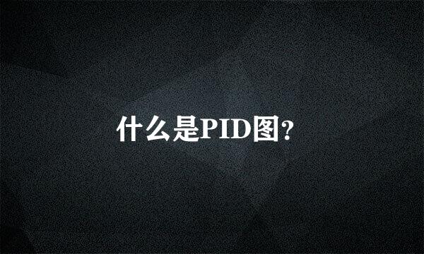 什么是PID图？