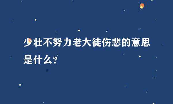 少壮不努力老大徒伤悲的意思是什么？