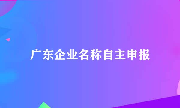 广东企业名称自主申报