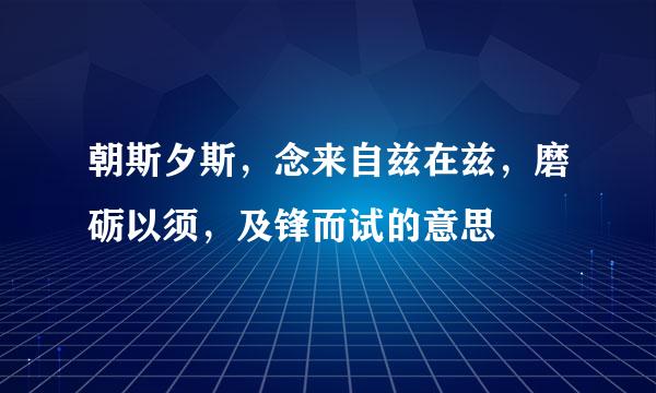 朝斯夕斯，念来自兹在兹，磨砺以须，及锋而试的意思