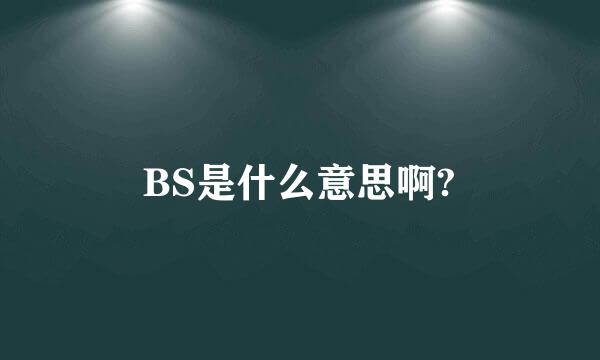 BS是什么意思啊?