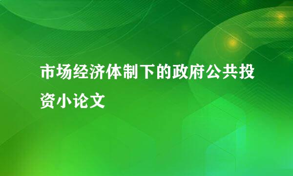 市场经济体制下的政府公共投资小论文