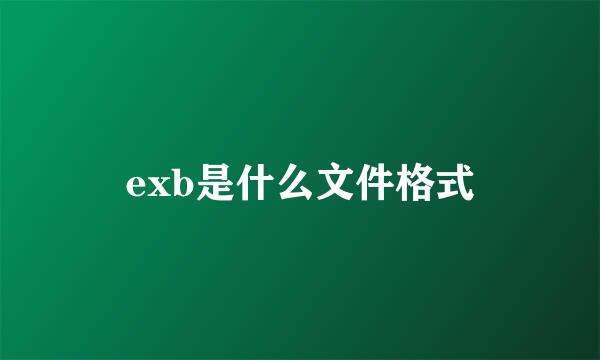 exb是什么文件格式