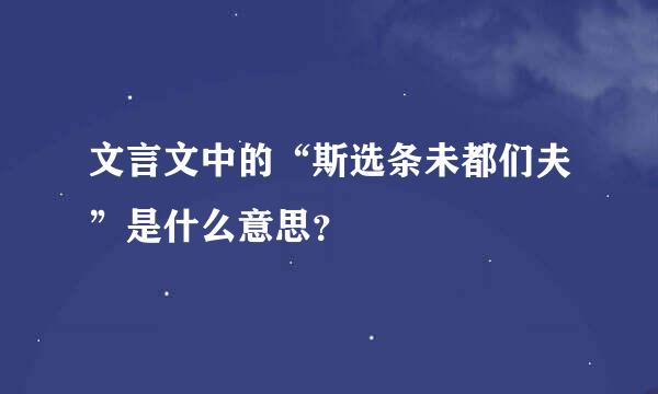 文言文中的“斯选条未都们夫”是什么意思？