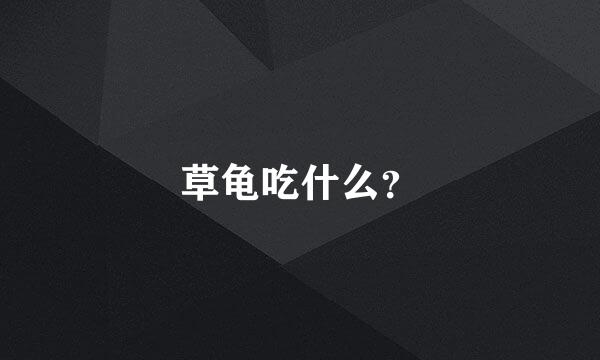 草龟吃什么？