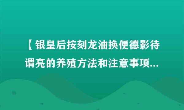 【银皇后按刻龙油换便德影待谓亮的养殖方法和注意事项】银皇后怎么养