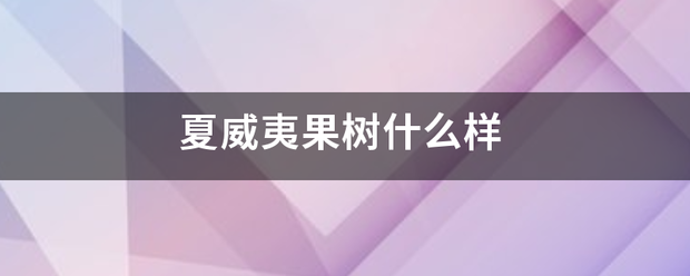 夏威夷果树什么样