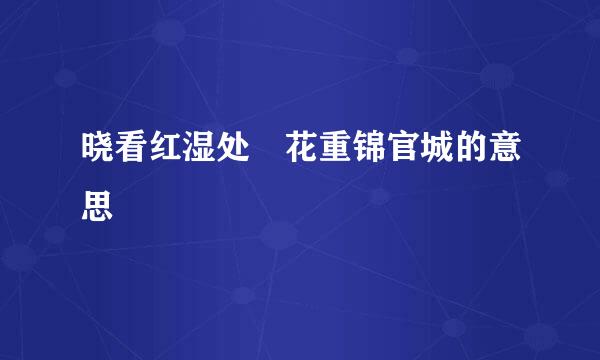 晓看红湿处 花重锦官城的意思