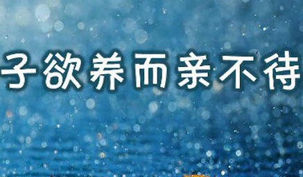 子欲来自养而亲不待是什么意思谁测严移列减介孔？