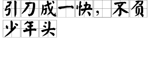 “引刀成一快，不负少年头”是什么意思？