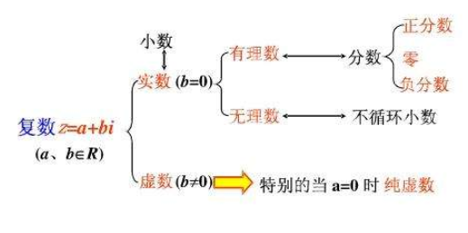 实据样士足轮数集包括什么数，比如