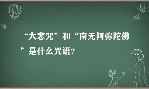 “大悲咒”和“南无阿弥陀佛”是什么咒语？