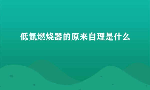 低氮燃烧器的原来自理是什么