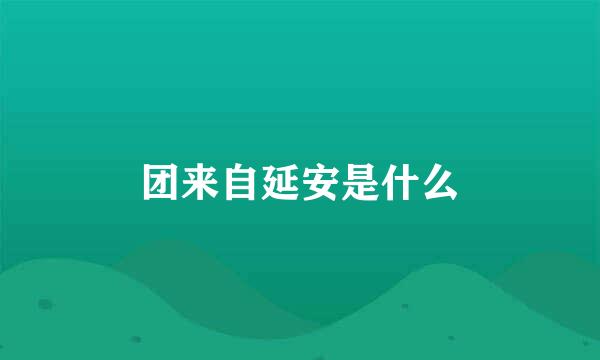 团来自延安是什么