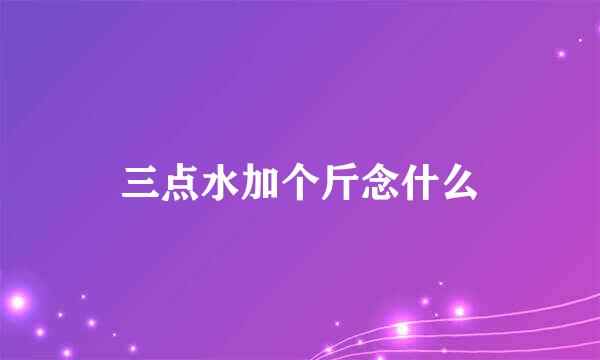 三点水加个斤念什么