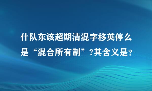 什队东该超期清混字移英停么是“混合所有制”?其含义是？