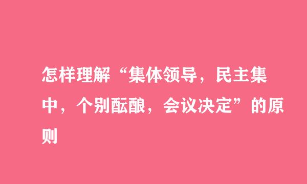 怎样理解“集体领导，民主集中，个别酝酿，会议决定”的原则