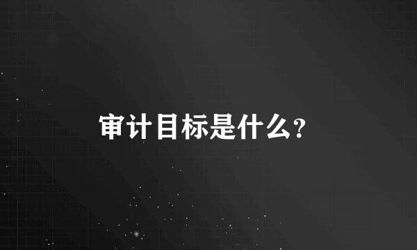 审计目标是什么？