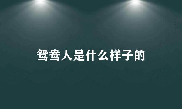 鸳鸯人是什么样子的