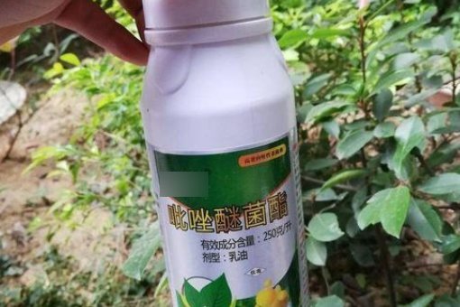 吡唑真治操皇角醚菌酯的作用和用途是什么？