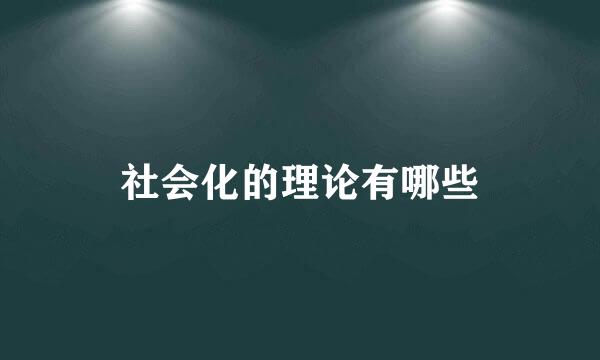 社会化的理论有哪些