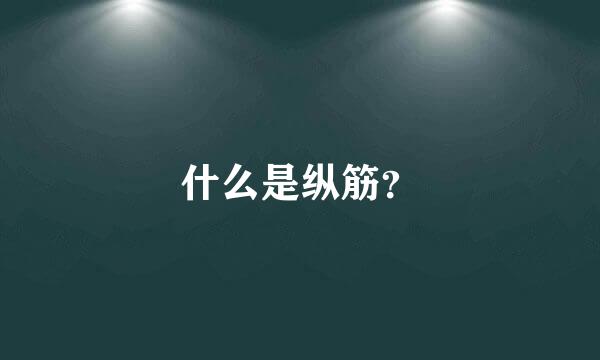 什么是纵筋？