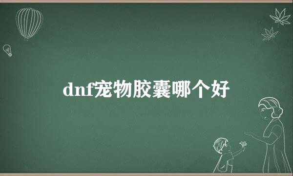 dnf宠物胶囊哪个好