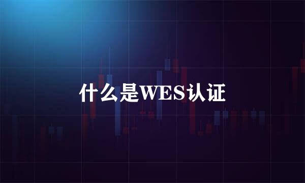 什么是WES认证