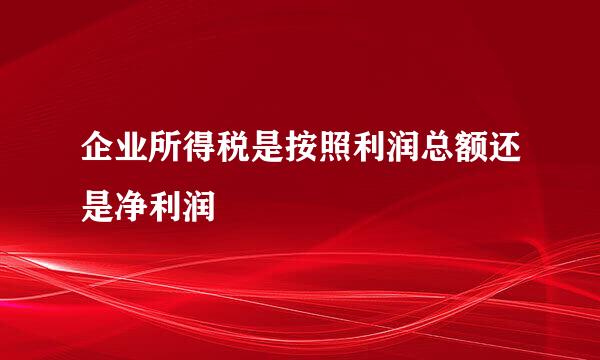 企业所得税是按照利润总额还是净利润