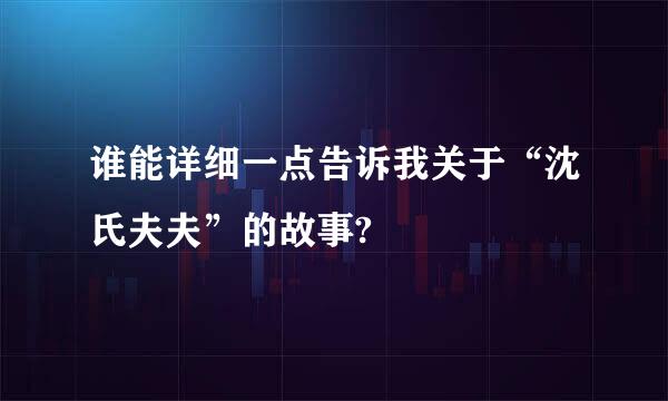 谁能详细一点告诉我关于“沈氏夫夫”的故事?